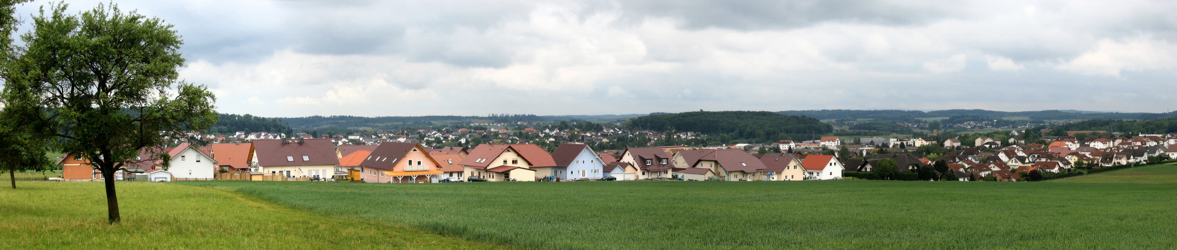 Fassadenreinigung in Reiskirchen